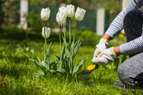 Beautiful Eltham garden maintained by professionals