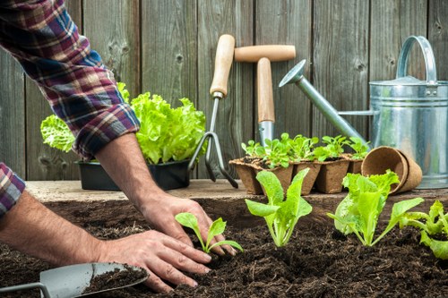 Team member providing accessible Eltham garden maintenance guidance