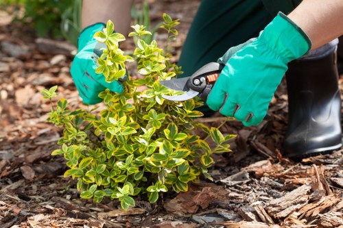 Operator wearing PPE while using powered garden equipment