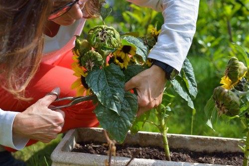 Tools and equipment organized for effective garden maintenance in Eltham