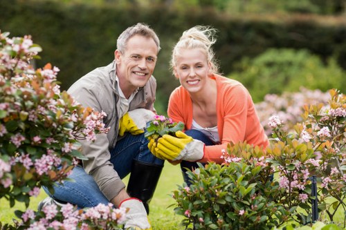 Diverse plant selection thriving in an Eltham garden environment